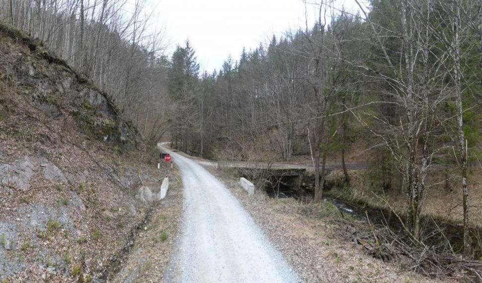 "Noul Transfăgărășan" din vestul României a intrat în lucru. Drumul spectaculos care leagă trei județe este modernizat cu bani europeni 1107199