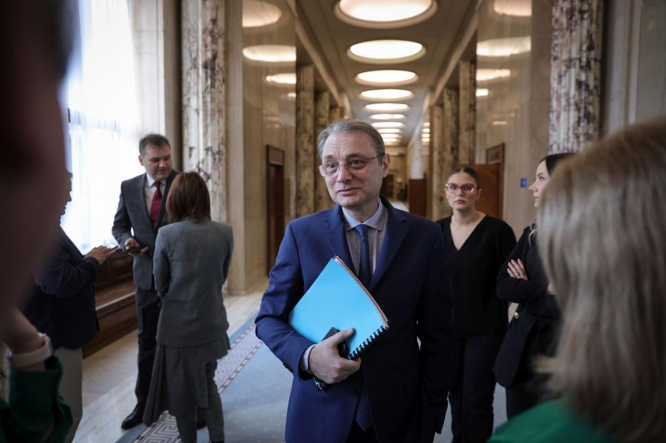luca niculescu la guvern