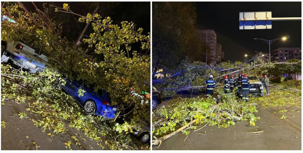 Un copac a căzut peste patru maşini şi un scuter, în Bucureşti. Un livrator a fost rănit 1109716