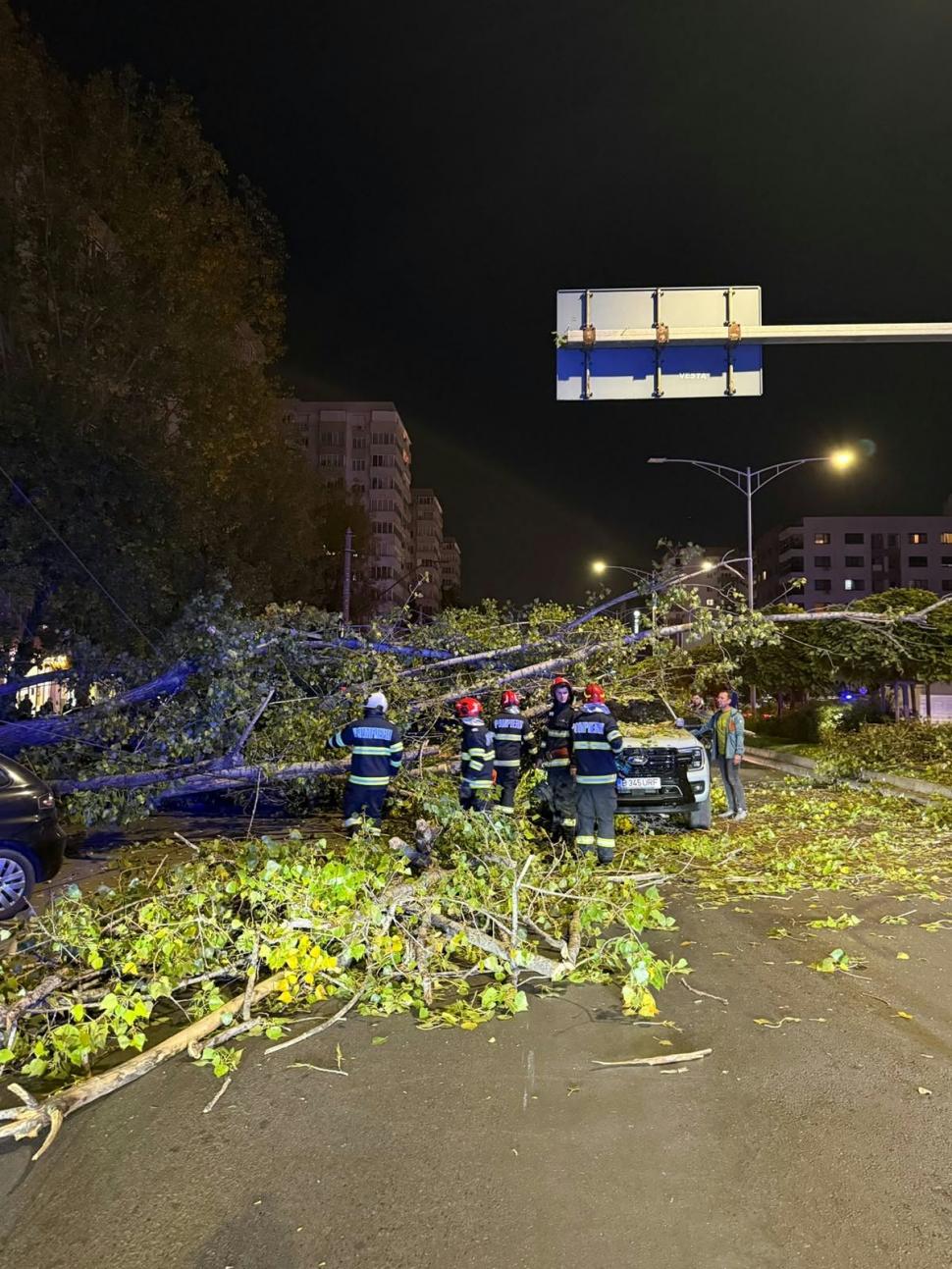 Un copac a căzut peste patru maşini şi un scuter, în Bucureşti. Un livrator a fost rănit 1109718