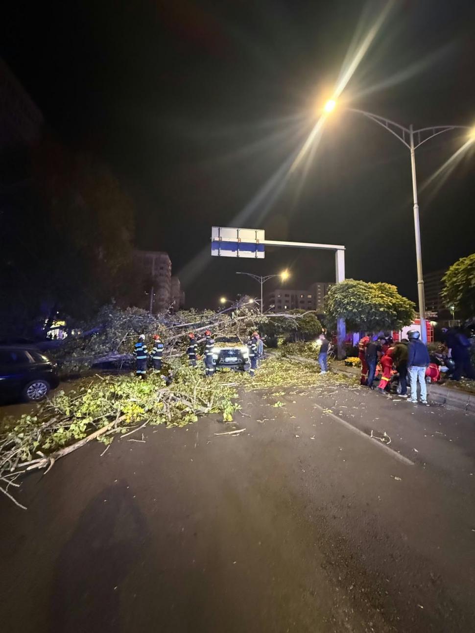 Un copac a căzut peste patru maşini şi un scuter, în Bucureşti. Un livrator a fost rănit 1109724