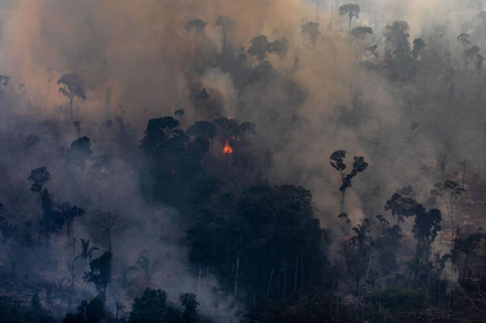A luat foc pădurea Amazonului iar Super El Niño amplifică dezastrul. Incendiile au fost puse intenționat, spun autoritățile 1111147