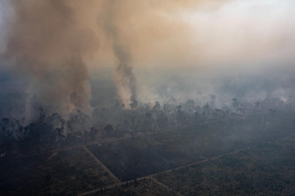 A luat foc pădurea Amazonului iar Super El Niño amplifică dezastrul. Incendiile au fost puse intenționat, spun autoritățile 1111148