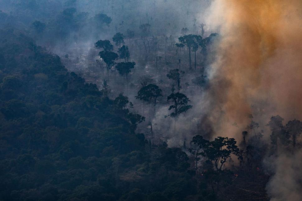 A luat foc pădurea Amazonului iar Super El Niño amplifică dezastrul. Incendiile au fost puse intenționat, spun autoritățile 1111149
