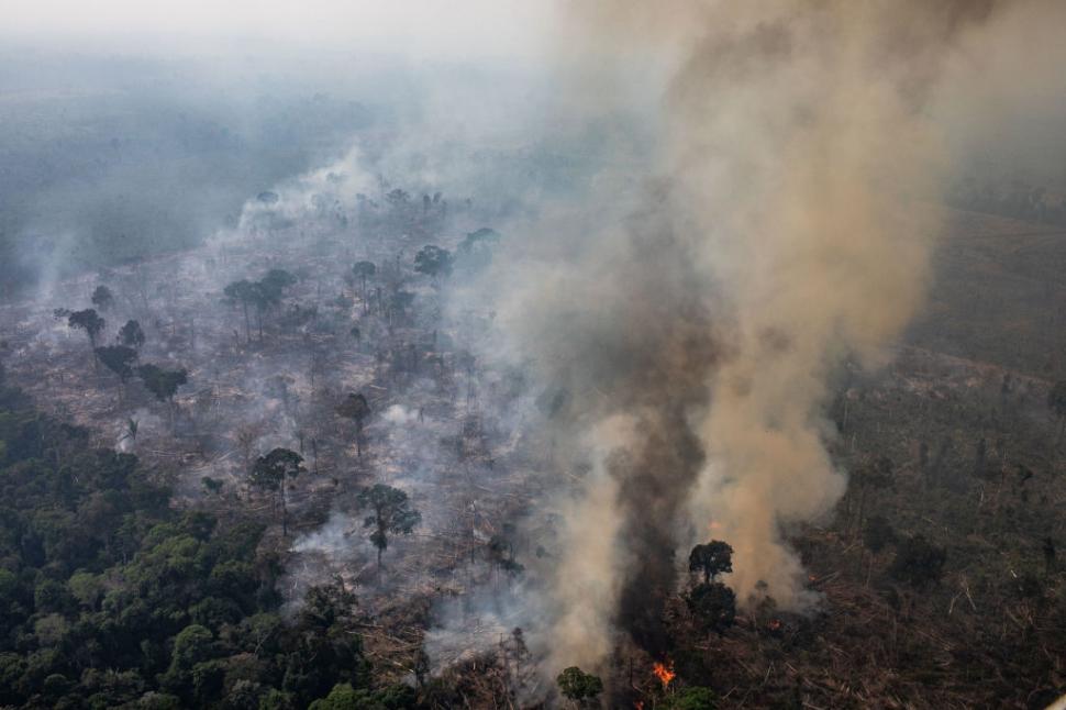 A luat foc pădurea Amazonului iar Super El Niño amplifică dezastrul. Incendiile au fost puse intenționat, spun autoritățile 1111151