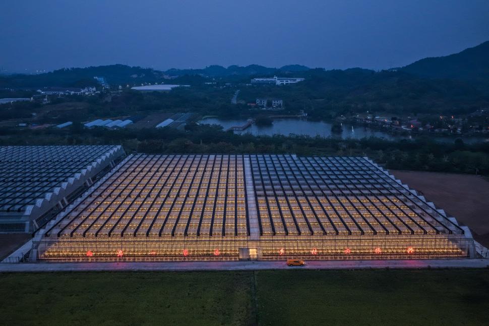 O dronă a surprins imagini cu o seră smart din China, noaptea. Complexul pare din filmele SF, dar aici se cultivă fructe tropicale 1115219