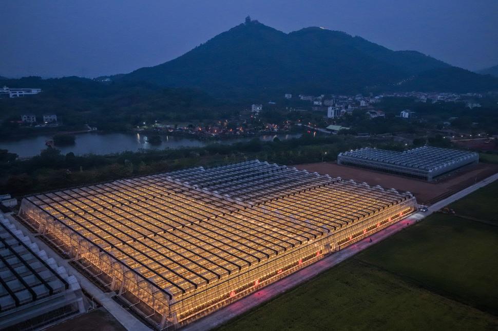 O dronă a surprins imagini cu o seră smart din China, noaptea. Complexul pare din filmele SF, dar aici se cultivă fructe tropicale 1115220