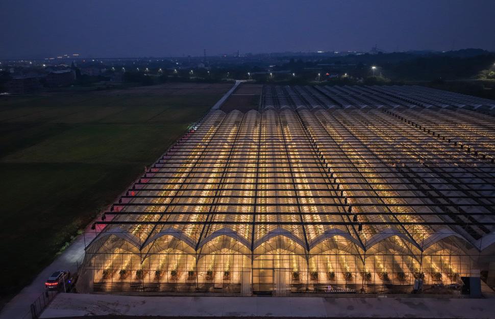 O dronă a surprins imagini cu o seră smart din China, noaptea. Complexul pare din filmele SF, dar aici se cultivă fructe tropicale 1115221
