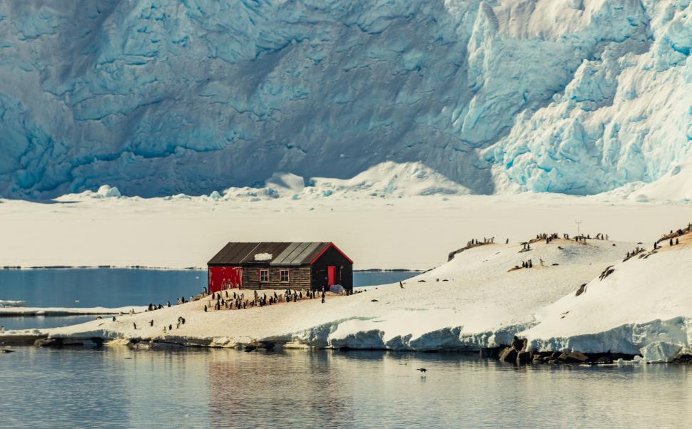 „Pinguinii sunt gălăgioși, oamenii, minunați”. Cum e să fii diriginte de poștă în Antarctica 1114490