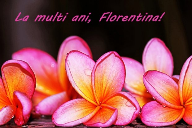 Felicitări Florii Pt Facebook Cele Mai Frumoase Poze Cu Flori