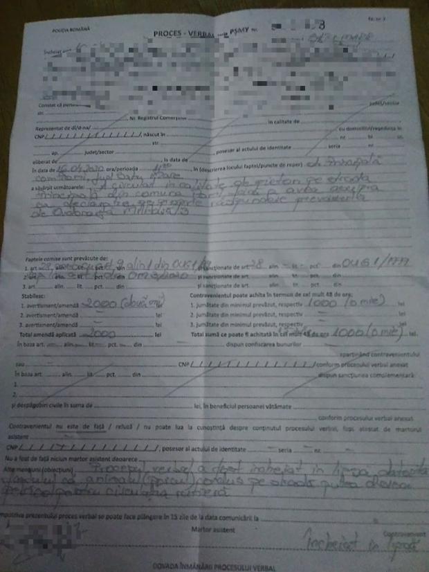 Femeie din Satu Mare, amendă după ce i-a scăpat porcul pe stradă