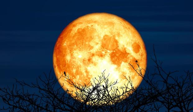 Luna Sangerie 26 mai 2021