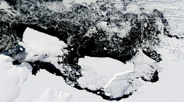 wikileaks resursele naturale de sub calota arctica aspiratia marilor puteri ale lumii