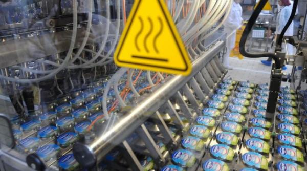 romania in miscare cum se produce un iaurt de calitate in romania