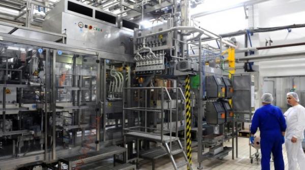 romania in miscare povestea companiei care livreaza peste 1 5 milioane de iaurturi zilnic in