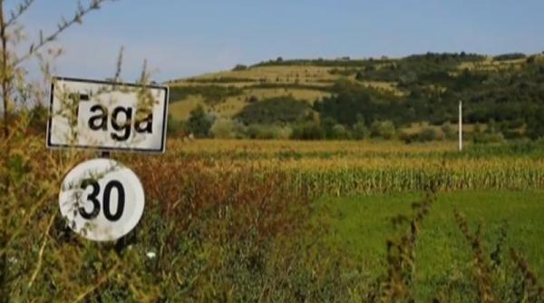 vedere de la tara taga satul camembertului