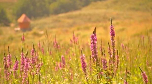 vedere de la tara alunis colti chiliile din grote in tara chihlimbarului