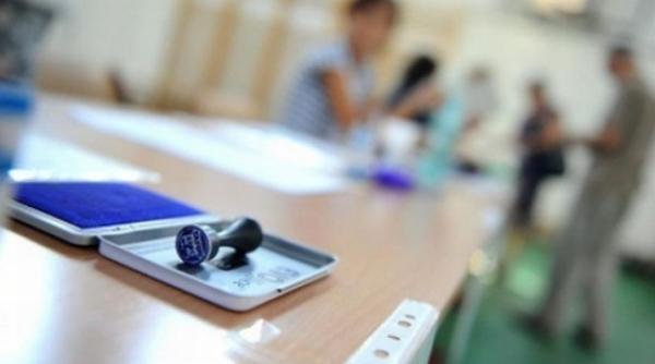 candidatul psd a castigat alegerile comuna timiseana sag in al doilea tur