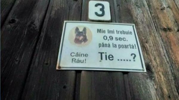 deziluzia optica atentie caine rautacios