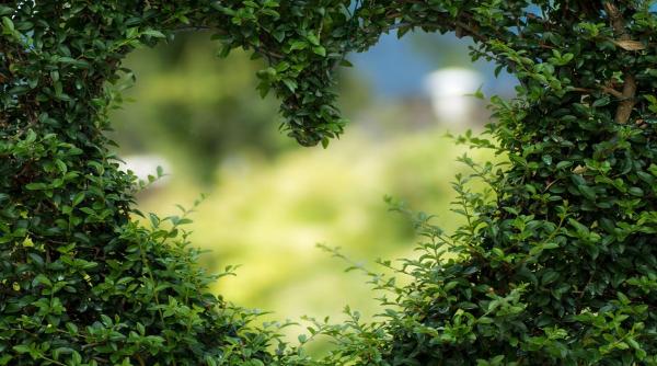 superstitii de dragobete ziua cand se logodesc pasarile ce e interzis sa faci