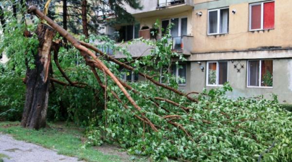 alerta meteo e cod galben de vant puternic zonele afectate alerta meteo e cod galben de vant puternic zonele afectate