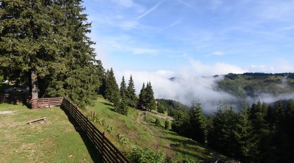 mumia din parang ceausescu a vrut jocuri olimpice de iarna noi am lasat o sa moara