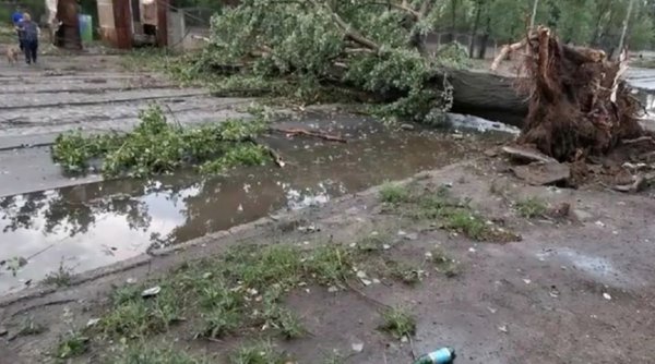 Copaci căzuți, mașini distruse și inundații în Craiova, după doar o oră de ploi torențiale și vijelii
