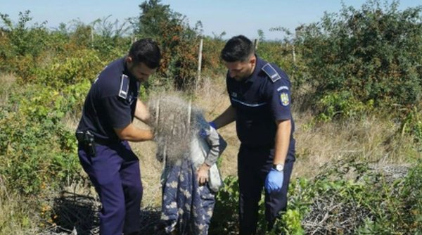 O bătrâna din Vrancea, dată dispărută, a fost găsită de polițiști într-o vie, la 6 km de casă