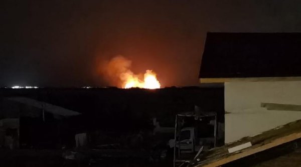 Incendiu de vegetaţie în Corbeanca, Ilfov