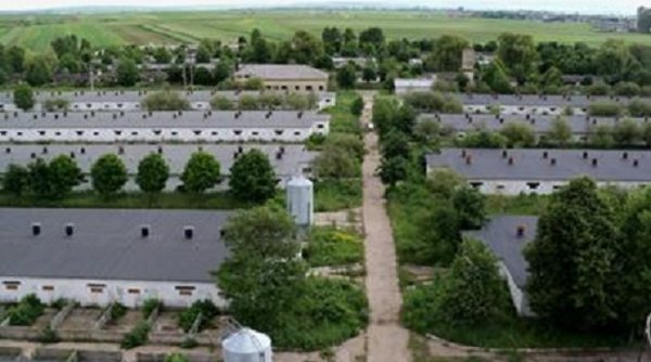 Doi bărbați au murit după ce au căzut într-un canal cu dejecţii la o fermă din Suceava