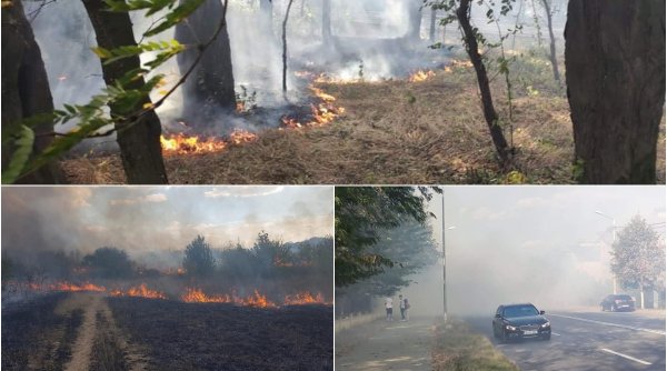 Incendiu de vegetaţie în Parcul Nicolae Romanescu din Craiova