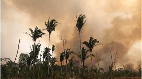 Incendiile ilegale fac scrum Pădurea Amazoniană. Flăcările sunt atât de puternice încât și pământul este carbonizat