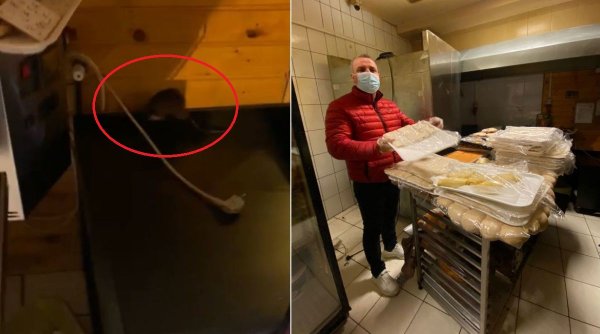 Patiserie din București închisă, după ce un șobolan a fost filmat printre rafturi