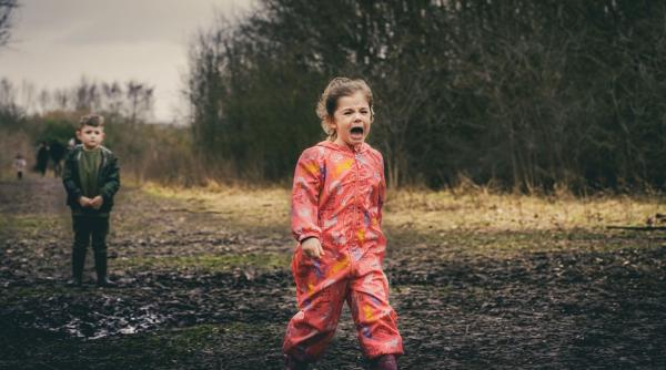 gestionare furie copil acasa public psihoterapeut