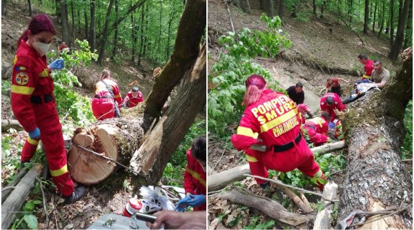 Tragedie într-o pădure din Sibiu! Un bărbat şi-a pierdut viaţa, după ce copacul pe care îl tăia, a căzut peste el