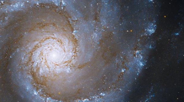 Galaxie spirală atipică, aflată la 53 de milioane de ani-lumină distanță, surprinsă de telescopul Hubble al NASA: 