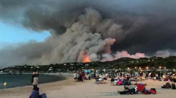 Franța devastată de incendii de vegetație | Mii de turiști evacuați