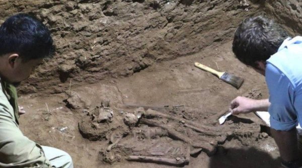 Dovada unei amputări chirurgicale de acum 31.000 de ani, cea mai veche din istorie