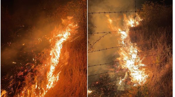 Incendiu violent în judeţul Prahova! 50 de hectare de vegetație ard la Tohani 