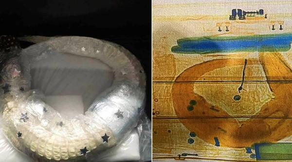 aligator viu avion munchen