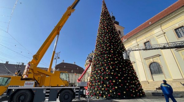 Bradul de Crăciun din Sibiu, ridicat în timp ce afară termometrele arătau 20 de grade