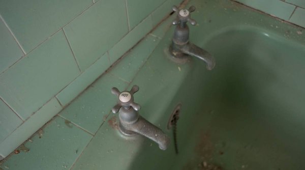Dușul zilnic nu mai este necesar. Experții în igienă insistă că a te spăla este „cu adevărat lipsit de importanță”