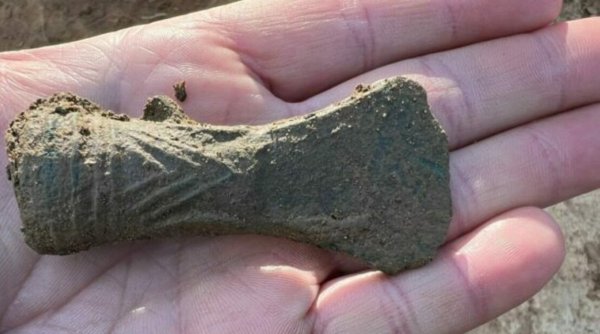 Topoare vechi de 3.000 de ani, descoperite într-o pădure de lângă Ocna Mureș, de doi pasionați de arheologie
