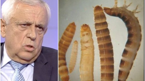 Petre Daea, despre larva gândacului de bălegar, aprobat de UE ca aliment comestibil:  
