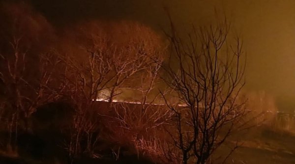 Incendiu în Delta Dunării, în apropiere de Sulina | Ard circa 150 de hectare de vegetaţie