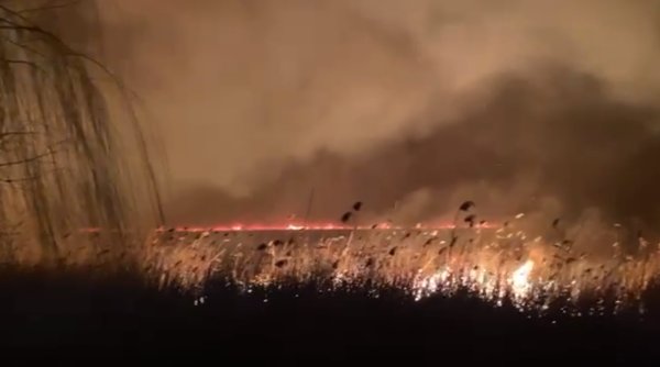 Incendiu de vegetație în Delta Dunării, în apropiere de localitatea Murighiol