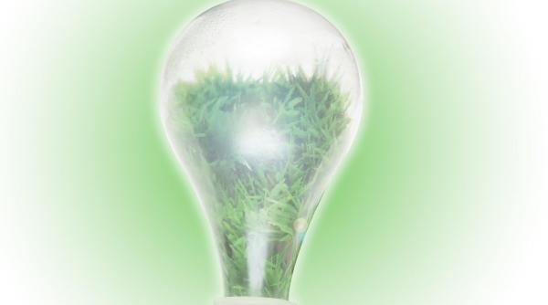 enzima transforma aer electricitate descoperita bacterie sol