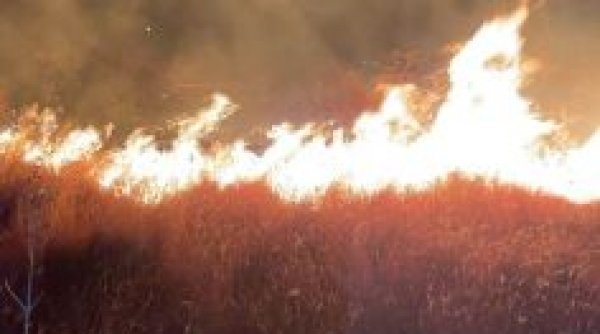 Incendiu violent în judeţul Prahova. 3.000 de metri pătraţi au ars în comuna Gorgota