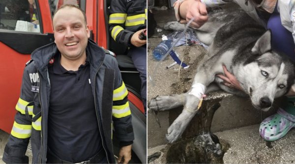 Un pompier din Mehedinți a scos un câine din flăcările unui incendiu. Ce s-a întâmplat după ce l-a resuscitat minute în șir