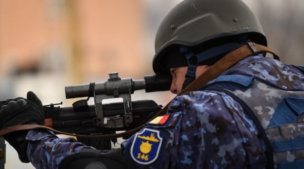 Trupele NATO fac exerciţii de amploare în România. S-au mutat în Delta Dunării